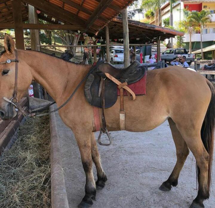 Hotel Fazenda Tucano Capim Branco Εξωτερικό φωτογραφία