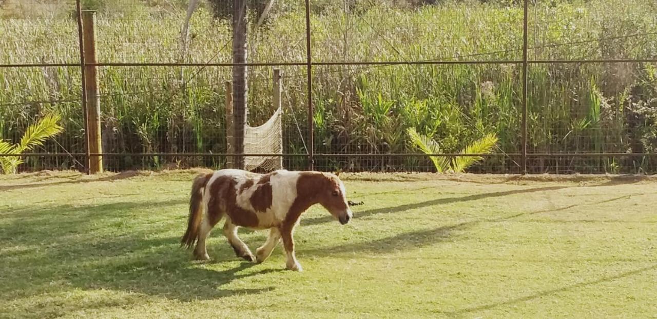 Hotel Fazenda Tucano Capim Branco Εξωτερικό φωτογραφία
